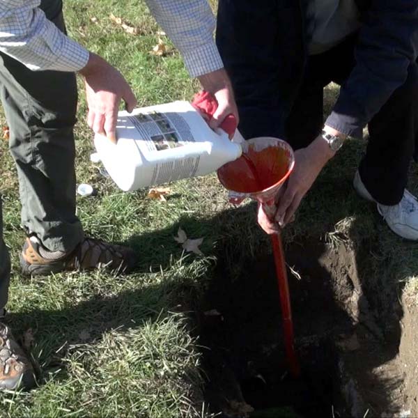 pour-1-gal-into-each-line